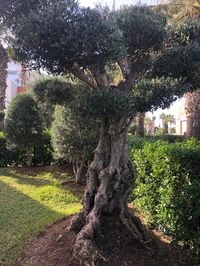 Ferienwohnung Vera Natura Apartamento Los Olivos Exterior foto